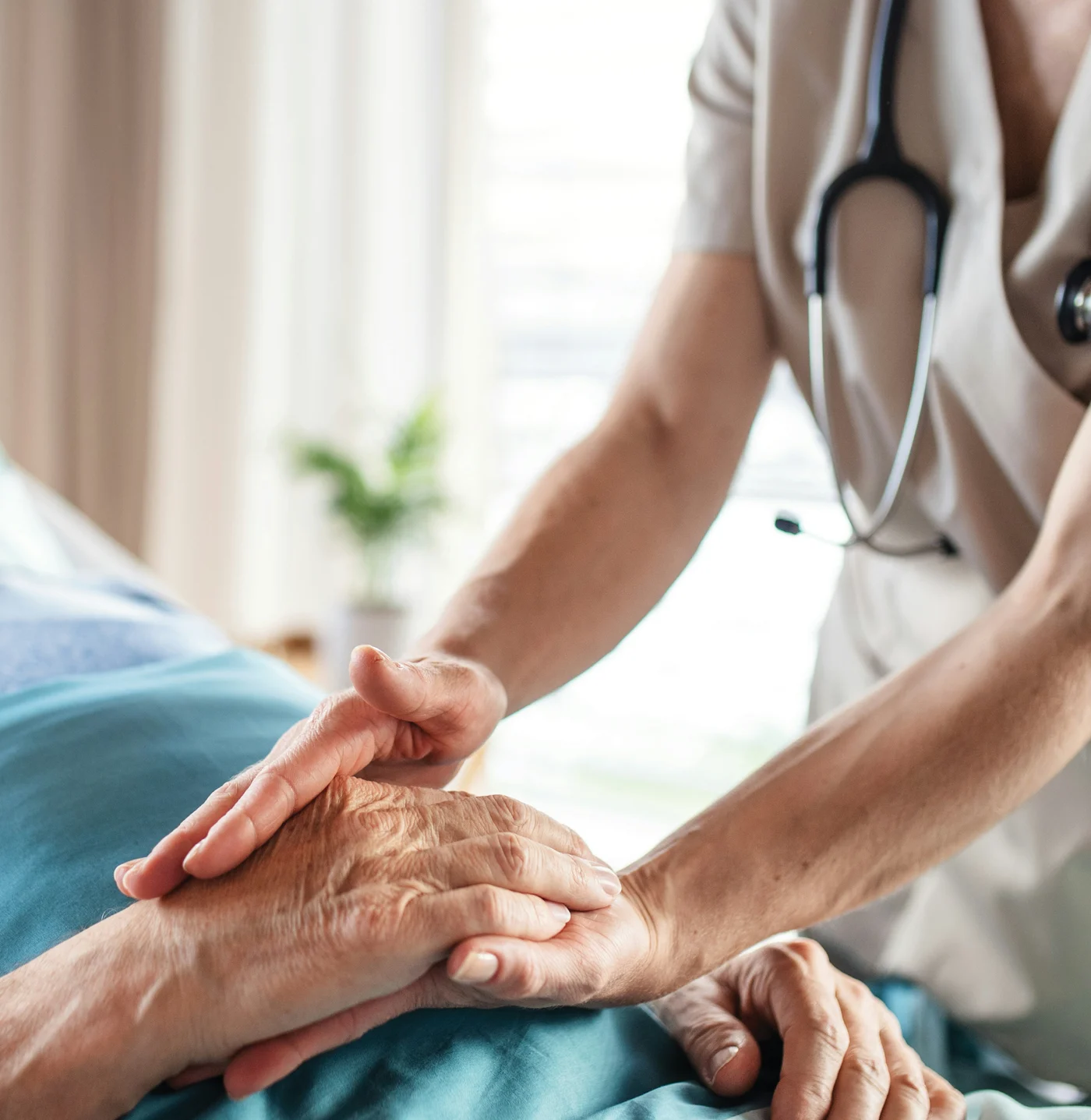 Care professional holding an older person's hand